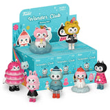 Funko Wonder Club: Wishing Well Blind Box Vinyl Figure