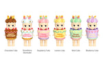 Sonny Angel Birthday Gift Series Blind Box *ORDER LIMIT*